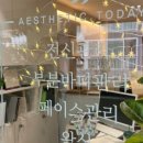 에스테틱;오늘 네이버블로그