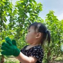 민성이네 농장 이미지