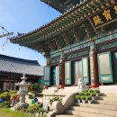 용화사 앞 | 서울 근교 템플스테이 청주 용화사 휴식형 예약 가격 후기