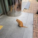 금호2-3가동 주민센터 3층 다목적실 이미지