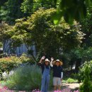 (주) 헤이데이 이미지