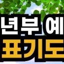 청년주일(Youth Sunday) 대표기도문 이미지