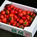 새송이 버섯="마트 가면 한 박스씩 사세요.." 단돈 3,000원으로 당뇨·고지혈증 예방됩니다 이미지