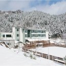 평창자연휴양림 이미지