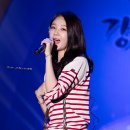 대관령야외공연장 이미지