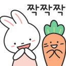 일류카세차장