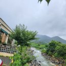 숲커피숍 이미지