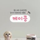 케이킁 이미지