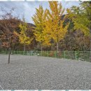 가평 용소폭포 펜션 이미지