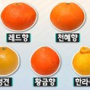 청호마트 이미지