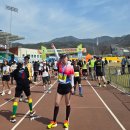 털보신흥식당 | 예산 윤봉길 마라톤 | 4월 벚꽃 마라톤