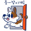 옥길아라동물의료센터 네이버블로그
