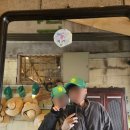 김포 아워올드밀 : 문수산 근처 정미소 개조 감성 카페 아워올드밀