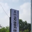 코지카지