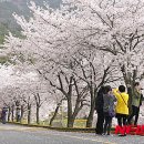 삼랑진발전처 이미지