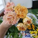 플라워앤타이드 | [가든 앤 플라워]꽃 컨디셔닝 실습 후기