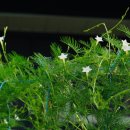 중동할머니경로당 이미지