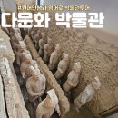 다문화박물관 | 서울 아이와가볼만한곳 다문화 박물관 영어전시설명 원데이클래스 다양