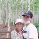 호병자동차공업사 이미지