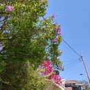 홈플러스 시계탑 앞 이미지