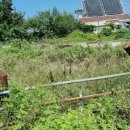 시동 샛대일 이미지