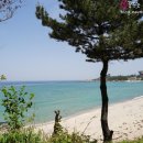 레일바이크 이미지