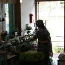 벤자민&데이지 이미지