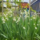 풀빛향기송정마을 이미지