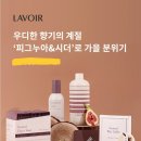 양천목동빨래방워시프렌즈파리공원점
