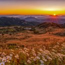 은빛축산 이미지