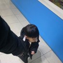 발산어린이집 | 어린이집 겨울방학 아이와 평일 나들이, 볼베어파크 부천점 다녀온 후기