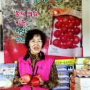 한일농원 이미지