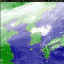 [news]기습호우에도 트위터 ‘정보력’ 빛났다 이미지