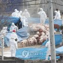 김창선농장 이미지