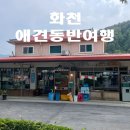 원천약국 | 강아지와 함께한 강원도 여행, 화천 원천상회 애견동반 후기