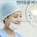 경인동물의료센터 이미지