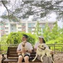 상삼공원 이미지