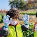 별하농장 이미지