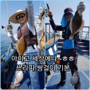 풍년참가자미