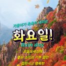 쉬어 가는 길목에서...🍀 이미지