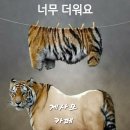 올림픽 체조/심술쟁이 냥이 이미지