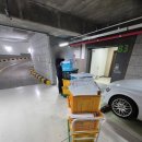 주정차080 이미지