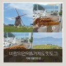 [거제 가볼만한곳] 바람의언덕 산책 후기｜주차 꿀팁부터 거제도핫도그 솔직후기까지
