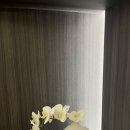 코이디자인 이미지