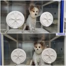 티지메디칼 이미지