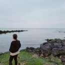 W699 | 제주 월정리숙박 w699 펜션후기