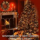 メリークリスマス Merry Christmas🎄 메리 크리스마스 이미지