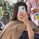 라임 헤어라이프 | 머리 잘하는 해방촌 라임헤어라이프에서 긴머리 허쉬컷 허쉬펌 열펌 만족 후기