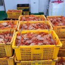 착한영덕수산 네이버블로그