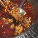 상하이 | 충칭가오라오주핫팟(Gaolaojiu) 난징동루 훠궈맛집 상하이맛집 개구리